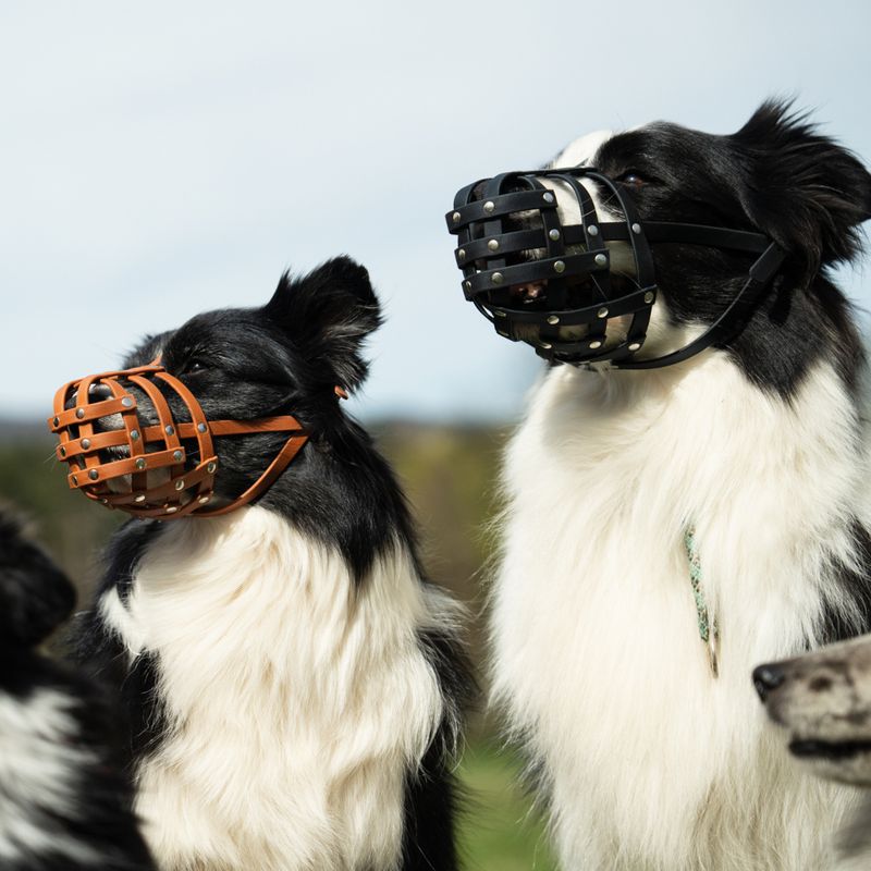 COLORI® Maulkorb Schäferhund M, hellbraun