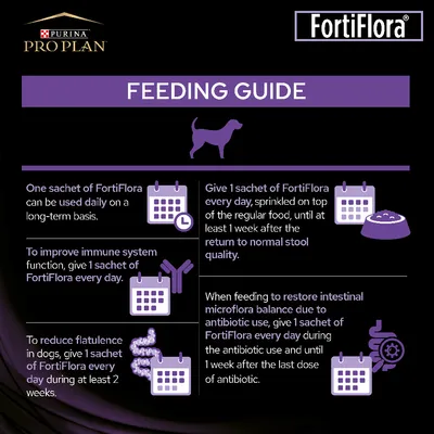 Purina Pro Plan FortiFlora Feeding Guide: annostusohjeet englanniksi, sisältää suosituksia päivittäisestä käytöstä, immuunijärjestelmän tukemisesta ja antibioottikuurin aikaisesta käytöstä.