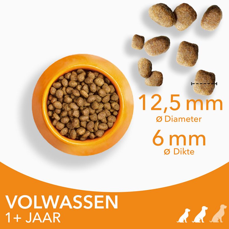 IAMS Advanced Nutrition Adult Small & Medium Dog met Kip