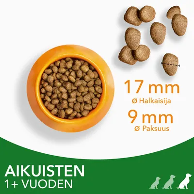 Koiran kuivaruokanappuloita kulhossa ja erikseen, halkaisija 17 mm, paksuus 9 mm. Teksti: Aikuisten 1+ vuoden.
