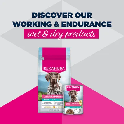 Eukanuba Special Care Adult Working & Endurance Eukanuba Special Care Adult Working & Endurance