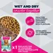 Eukanuba Special Care Adult Mono-Protein Miel