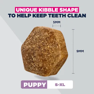 Eukanuba Special Care Sensitive Digestion Puppy med kylling og kalkun