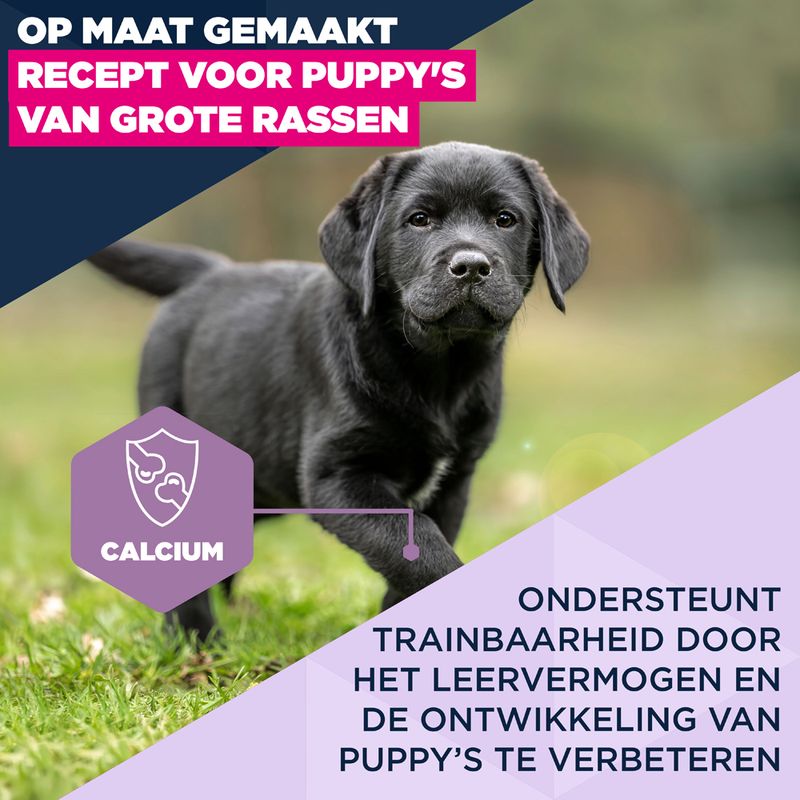 Eukanuba Puppy Large Breed Kip Hondenvoer