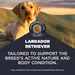 Eukanuba Adult Breed Care Specific Labrador Retriever