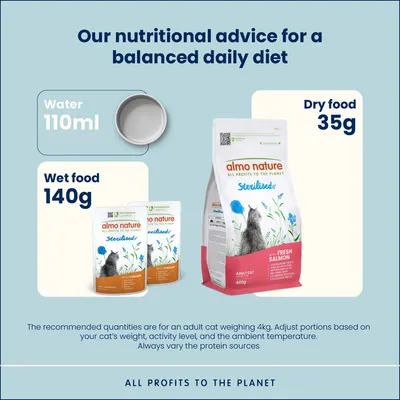 Almo Nature Holistic Specialised Nutrition в паучове 24 х 70 г
