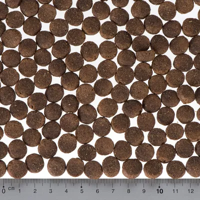 Nærbillede af brune, runde tørfoderstykker med centimeter-skala til størrelsesbestemmelse.