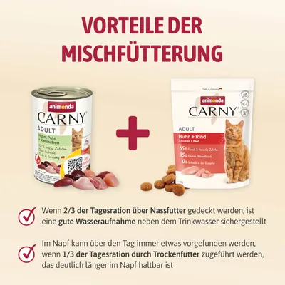 Vorteile der Mischfütterung: 2/3 der Tagesration Nassfutter für gute Wasseraufnahme, 1/3 Trockenfutter bleibt länger im Napf. Animonda Carny Adult Nass- und Trockenfutter abgebildet.
