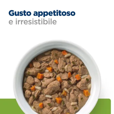 Ciotola con bocconcini di carne, carote e riso in salsa. Testo visibile: Gusto appetitoso e irresistibile. Ciotola con bocconcini di carne, carote e riso in salsa. Testo visibile: Gusto appetitoso e irresistibile.