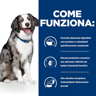 COME FUNZIONA: Formula altamente digeribile con proteine e carboidrati selezionati; miscela prebiotica esclusiva per batteri intestinali benefici; alta densità energetica, antiossidanti provati.
