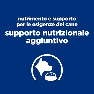 nutrimento e supporto per le esigenze del cane, supporto nutrizionale aggiuntivo