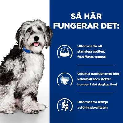 Så här fungerar det: Utformat för att stimulera aptiten, från första tuggan. Optimal nutrition med hög kalori­halt som stöttar hunden i det dagliga livet. Utformat för främja avföringskvaliteten.