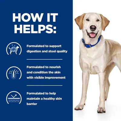 How it helps: Formulated to support digestion and stool quality, nourish and condition the skin with visible improvement, help maintain a healthy skin barrier. Labrador wearing blue collar.