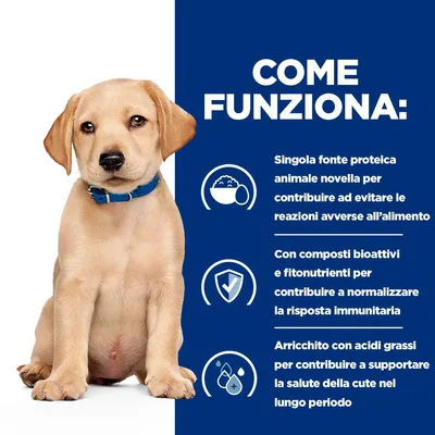 COME FUNZIONA: Singola fonte proteica animale novella per contribuire ad evitare le reazioni avverse all’alimento. Composti bioattivi e fitonutrienti per normalizzare la risposta immunitaria. Arricchito con acidi grassi per supportare la salute della cute nel lungo periodo.