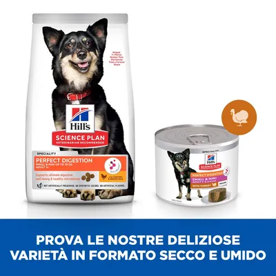 Hill's Science Plan Perfect Digestion per cani piccoli e mini, confezione di crocchette con pollo e riso integrale e lattina con tacchino. Testo: Prova le nostre deliziose varietà in formato secco e umido.