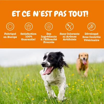 Fabriqué en Europe, Satisfaction 100% Garantie!, Des Ingrédients à l’Efficacité Prouvée, Sans Colorants ni Arômes Artificiels, Développé Sous Contrôle Vétérinaire