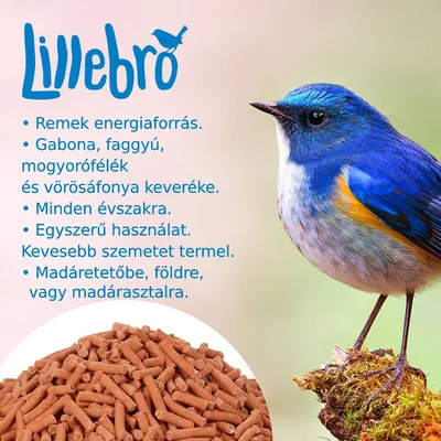 Lillebro. Remek energiaforrás. Gabona, faggyú, mogyorófélék és vörösáfonya keveréke. Minden évszakra. Egyszerű használat. Kevesebb szemetet termel. Madáretetőbe, földre, madárasztalra.