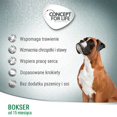 Concept for Life. Wspomaga trawienie, wzmacnia chrząstki i stawy, wspiera pracę serca, dopasowane krokiety, bez dodatku pszenicy i soi. Bokser od 15 miesiąca.