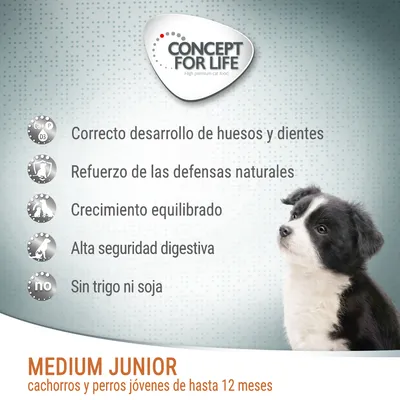 Concept for Life. Correcto desarrollo de huesos y dientes, refuerzo de las defensas naturales, crecimiento equilibrado, alta seguridad digestiva, sin trigo ni soja. Medium Junior cachorros y perros jóvenes hasta 12 meses.