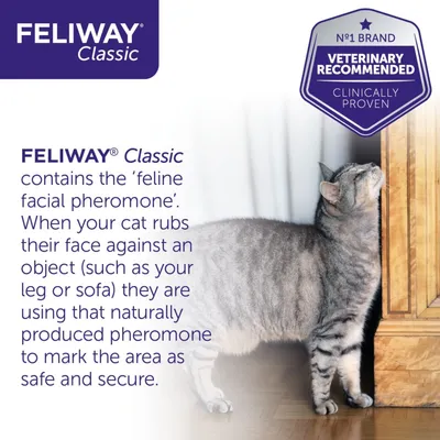 Text: FELIWAY Classic contains the ‘feline facial pheromone’. When your cat rubs their face against an object they are using that naturally produced pheromone to mark the area as safe and secure. Nº1 BRAND VETERINARY RECOMMENDED CLINICALLY PROVEN.