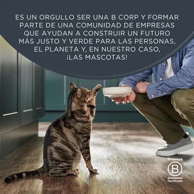 Encore latas en caldo 24 x 70 g para gatos - Pack %