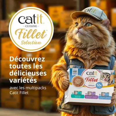 catit Cuisine Sélection de Filets. Découvrez toutes les délicieuses variétés avec les multipacks Catit Filet.