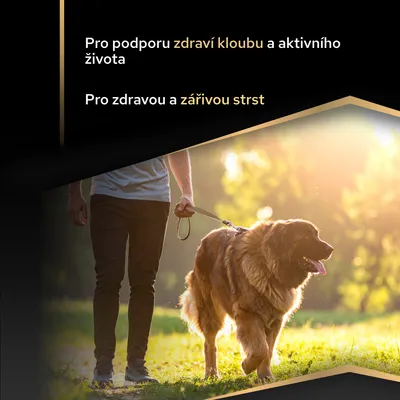 Podporuje zdravé klouby, aktivní život a zdravou, lesklou srst. Podporuje zdravé klouby, aktivní život a zdravou, lesklou srst.