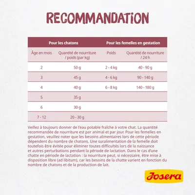 Tableau de recommandations Josera : quantités de nourriture pour chatons selon l’âge et pour femelles en gestation selon le poids. Instructions d’alimentation et logo Josera visibles.