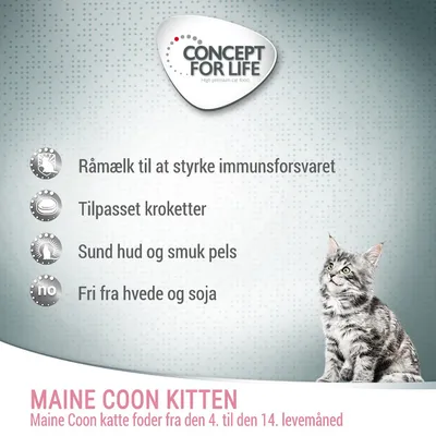 CONCEPT FOR LIFE. Råmælk til at styrke immunsystemet, tilpasset kroketter, sund hud og smuk pels, fri fra hvede og soja. MAINE COON KITTEN kattefoder fra 4. til 14. levemåned.