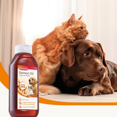 Beaphar Salmon Oil bottle with visible benefits: shiny coat, supports heart and cardiovascular system, supports joint mobility. Omega 3 and 6 highlighted. Cat and dog shown beside product.
