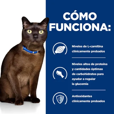 CÓMO FUNCIONA: Niveles de L-carnitina clínicamente probados. Niveles altos de proteína y cantidades óptimas de carbohidratos para ayudar a regular la glucemia. Antioxidantes clínicamente probados. CÓMO FUNCIONA: Niveles de L-carnitina clínicamente probados. Niveles altos de proteína y cantidades óptimas de carbohidratos para ayudar a regular la glucemia. Antioxidantes clínicamente probados.
