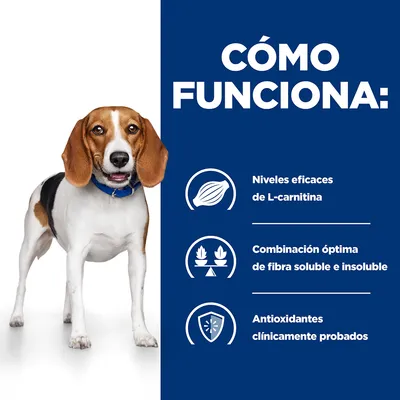 Cómo funciona: Niveles eficaces de L-carnitina, combinación óptima de fibra soluble e insoluble, antioxidantes clínicamente probados. Texto en español junto a perro.
