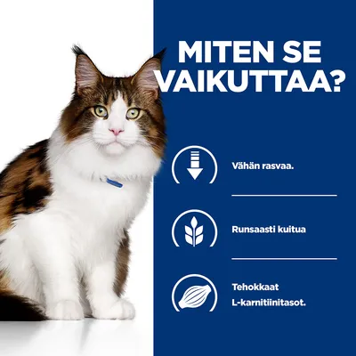 MITEN SE VAIKUTTAA? Vähän rasvaa. Runsaasti kuitua. Tehokkaat L-karnitiinitasot. Maine coon -kissa kuvassa vasemmalla.