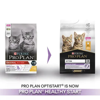 PURINA PRO PLAN Original Kitten 1–12 måneder skifter navn til PRO PLAN Kitten Healthy Start <1. Begge poser med billede af killinger og ISFM-mærke. Synlig tekst: OPTISTART, HEALTHY START.