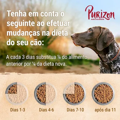 Purizon. Tenha em conta ao mudar a dieta do cão: a cada 3 dias substitua ¼ do alimento anterior por ¼ da nova dieta. Dias 1–3, 4–6, 7–10 e após dia 11 ilustrados com taças de ração.