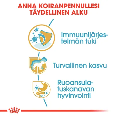 Anna koiranpennullesi täydellinen alku: immuunijärjestelmän tuki, turvallinen kasvu, ruoansulatuskanavan hyvinvointi. Kolme kuvaketta tekstin vieressä.