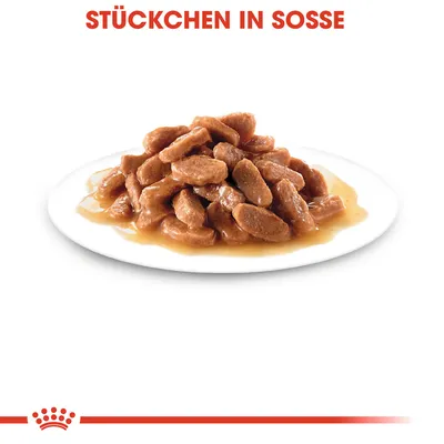 Komadići u umaku na bijelom tanjuru, tekst iznad: STÜCKCHEN IN SOSSE (njemački jezik)