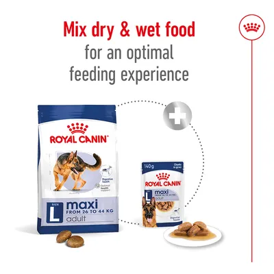 Instructional image showing to mix dry and wet food for an optimal feeding experience, with Royal Canin maxi adult dry food bag and wet food pouch displayed.
