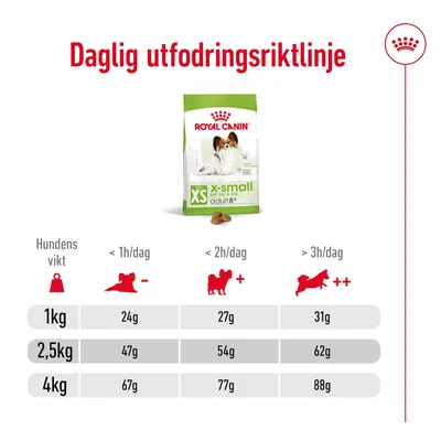 Daglig utfodringsriktlinje för Royal Canin XS Adult 8+: tabell med rekommenderad mängd foder per hundvikt (1 kg, 2,5 kg, 4 kg) och aktivitetsnivå (<1h, <2h, >3h/dag).