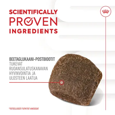 Teksti: SCIENTIFICALLY PROVEN INGREDIENTS. BEETAGLUKAANI-POSTBIOOTIT tukevat ruoansulatuskanavan hyvinvointia ja ulosteen laatua. Kuvassa ruskea nappula.