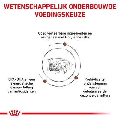 Wetenschappelijk onderbouwde voedingskeuze: goed verteerbare ingrediënten, aangepast elektrolytengehalte, EPA+DHA met antioxidanten, prebiotica voor gezonde darmflora.