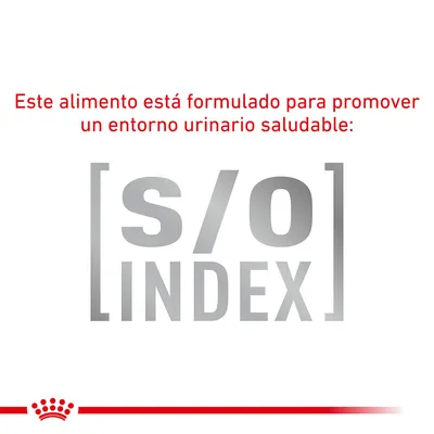Este alimento está formulado para promover un entorno urinario saludable: [s/o] INDEX