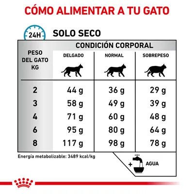 Tabla de raciones diarias de pienso seco para gatos según peso (2–8 kg) y condición corporal: delgado, normal o sobrepeso. Energía metabolizable: 3489 kcal/kg. Añadir agua.