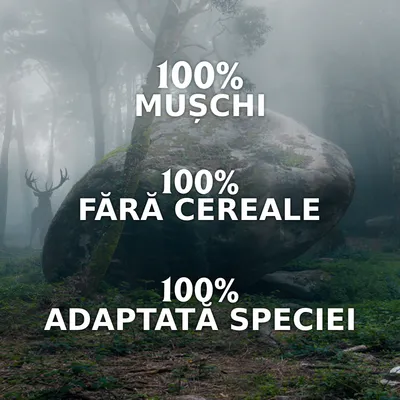 100% MUȘCHI, 100% FĂRĂ CEREALE, 100% ADAPTATĂ SPECIEI – text promoțional vizibil pe imagine. Text în limba română.