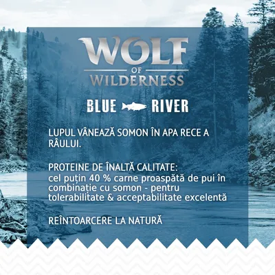 Wolf of Wilderness Blue River. Lupul vânează somon în apa rece a râului. Proteine de înaltă calitate: cel puțin 40 % carne proaspătă de pui cu somon. Reîntoarcere la natură.