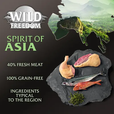 Wild Freedom Spirit of Asia. 40% fresh meat, 100% grain-free, ingredients typical to the region. Raw poultry, fish and greens shown on slate. Mountain landscape in background.