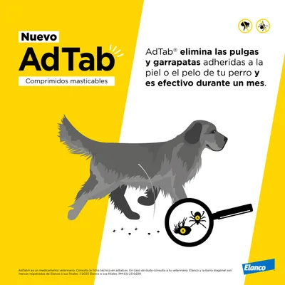 Nuevo AdTab comprimidos masticables. Elimina las pulgas y garrapatas adheridas a la piel o pelo de tu perro y es efectivo durante un mes. Marca Elanco.