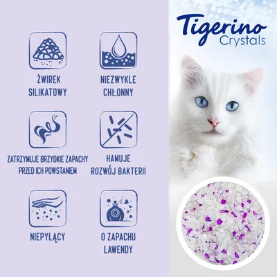 Tigerino Crystals żwirek silikatowy, niezwykle chłonny, zatrzymuje brzydkie zapachy, hamuje rozwój bakterii, niepylący, o zapachu lawendy. Widoczne kryształki z fioletowymi elementami.