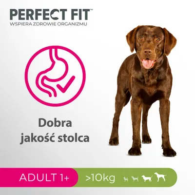 Perfect Fit wspiera zdrowie organizmu. Dobra jakość stolca. ADULT 1+, powyżej 10 kg.