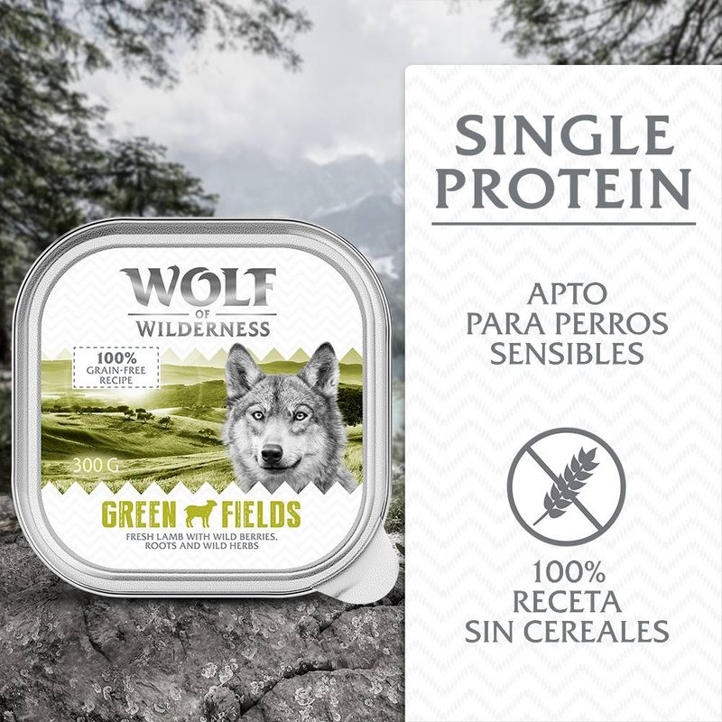 Wolf of Wilderness Adult Single Protein 6 / 24 x 300 g en tarrinas